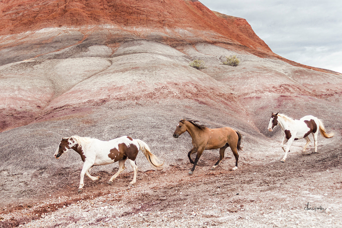 WYOMING PAINTED HILLS