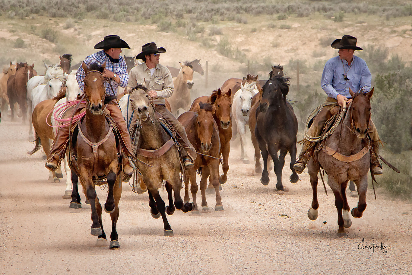 COLORADO RANCH LIFE