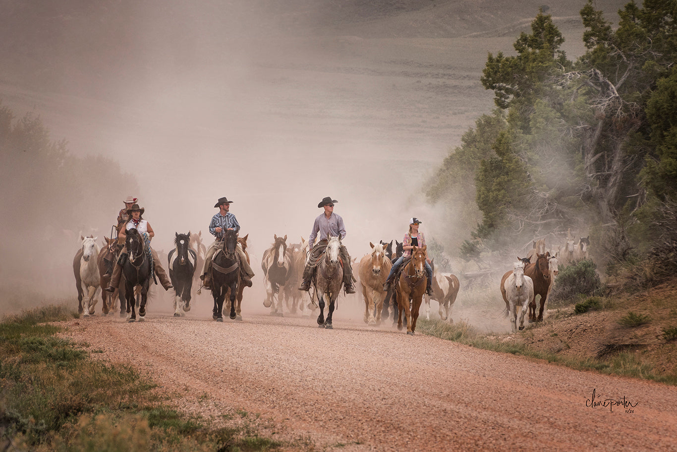 COLORADO COWBOYS
