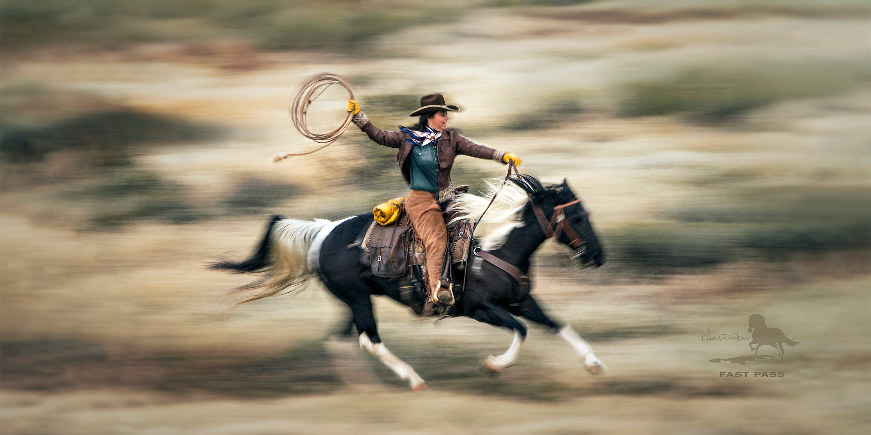 Fast Pass