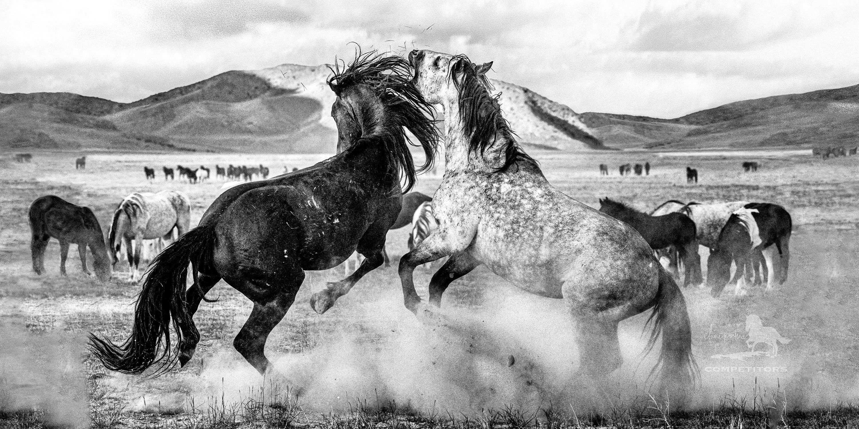 Competitors