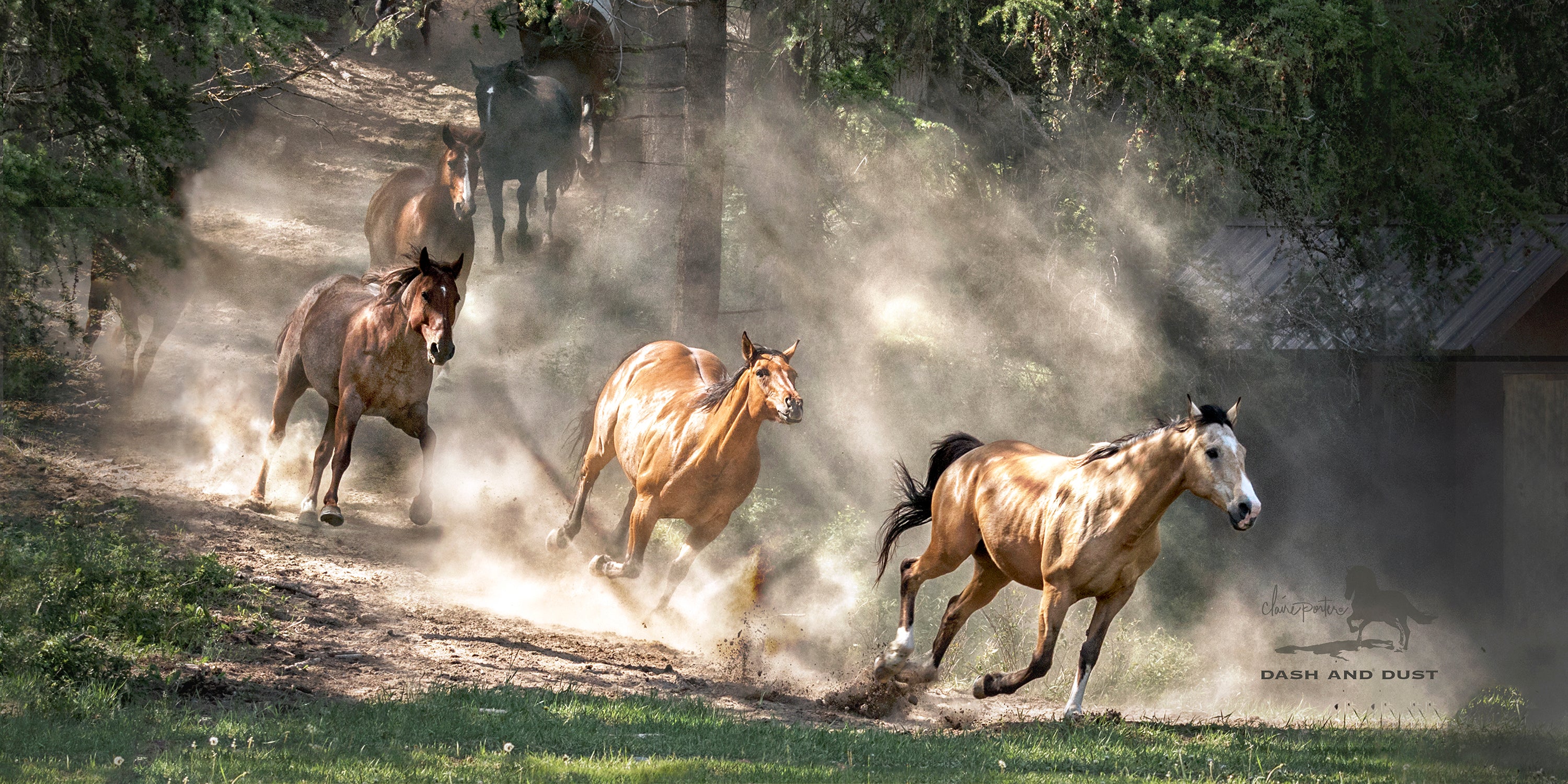 Dash and Dust