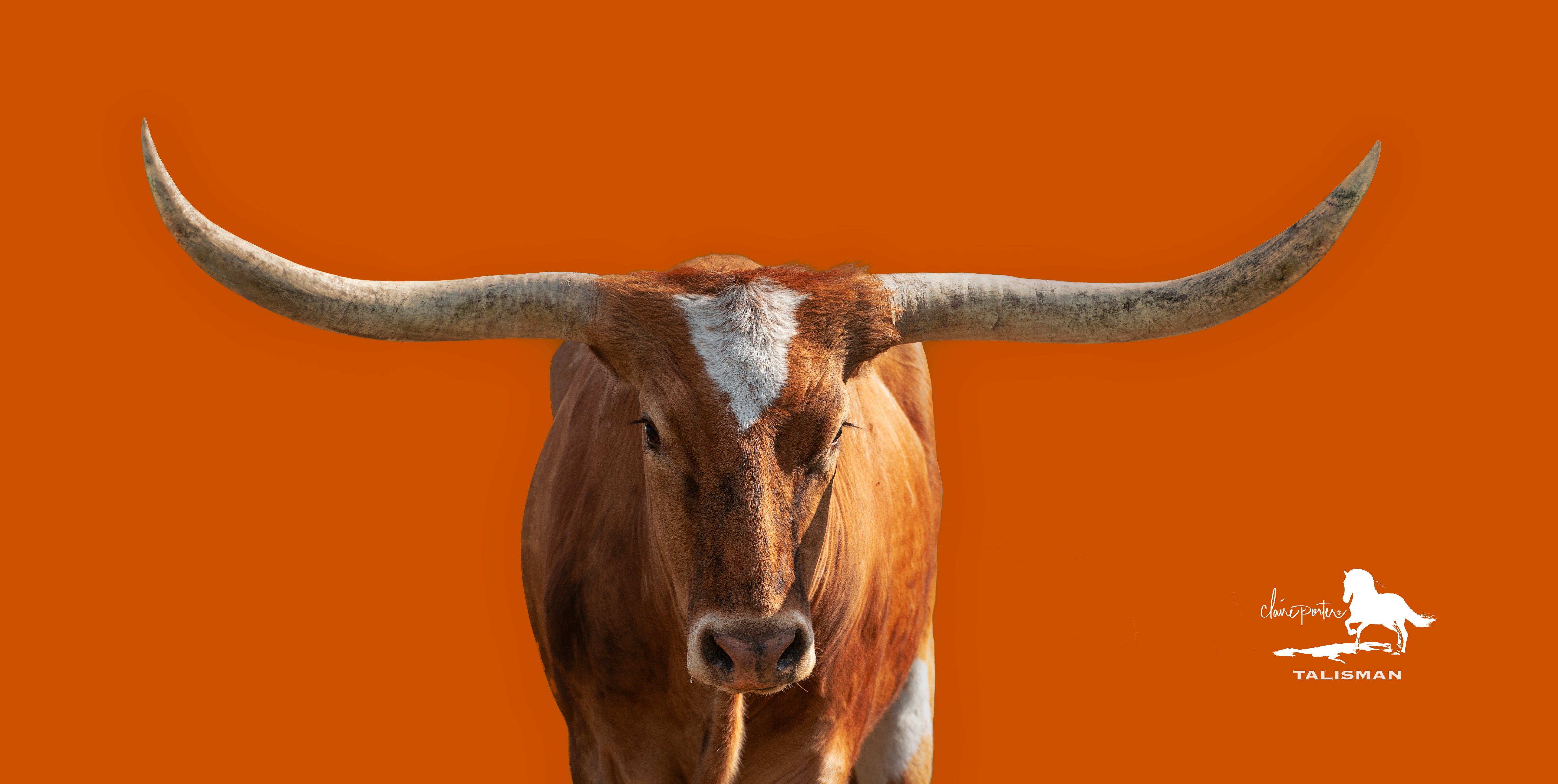 Talisman (Burnt Orange)