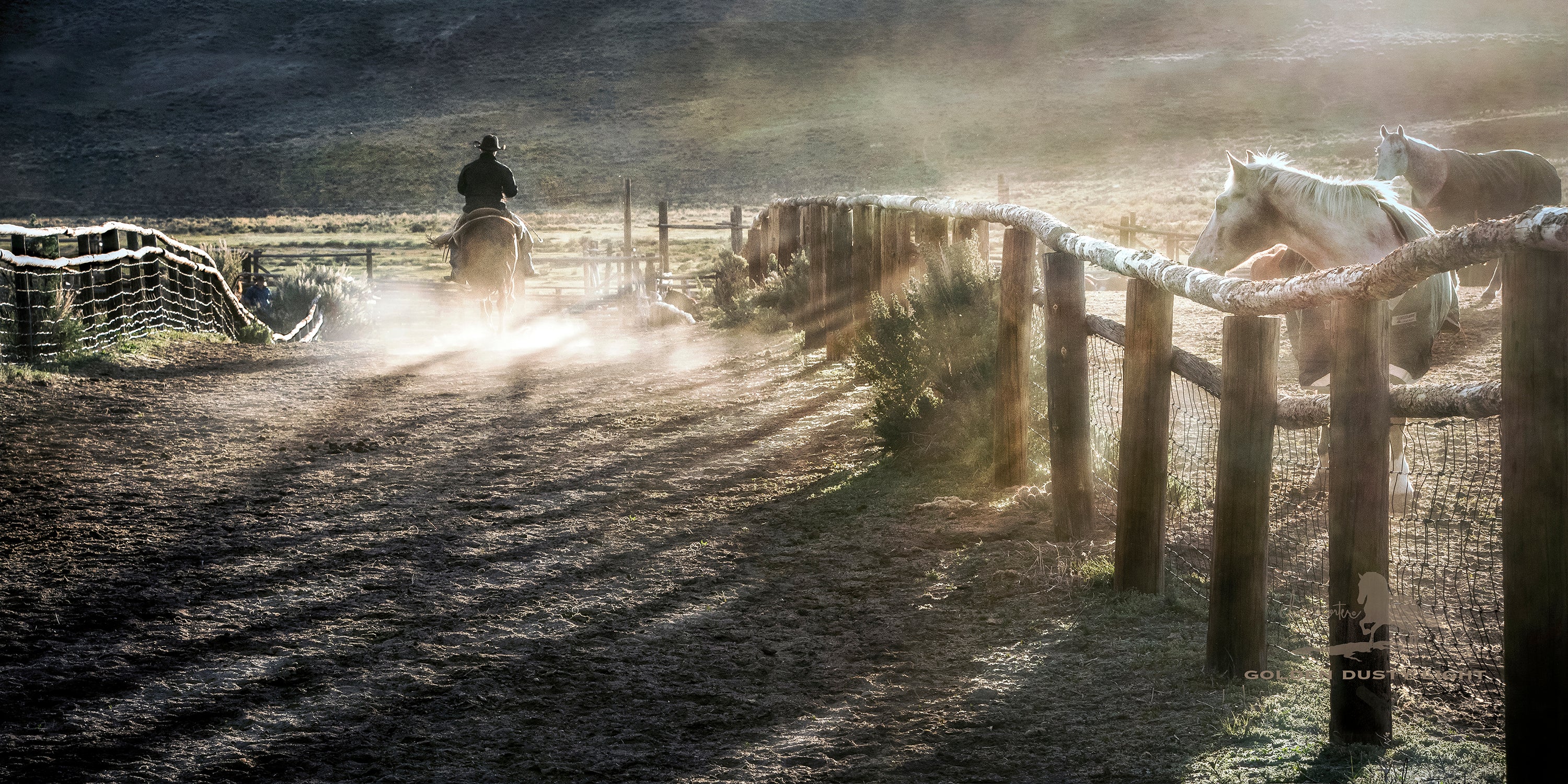 Golden Dusty Light
