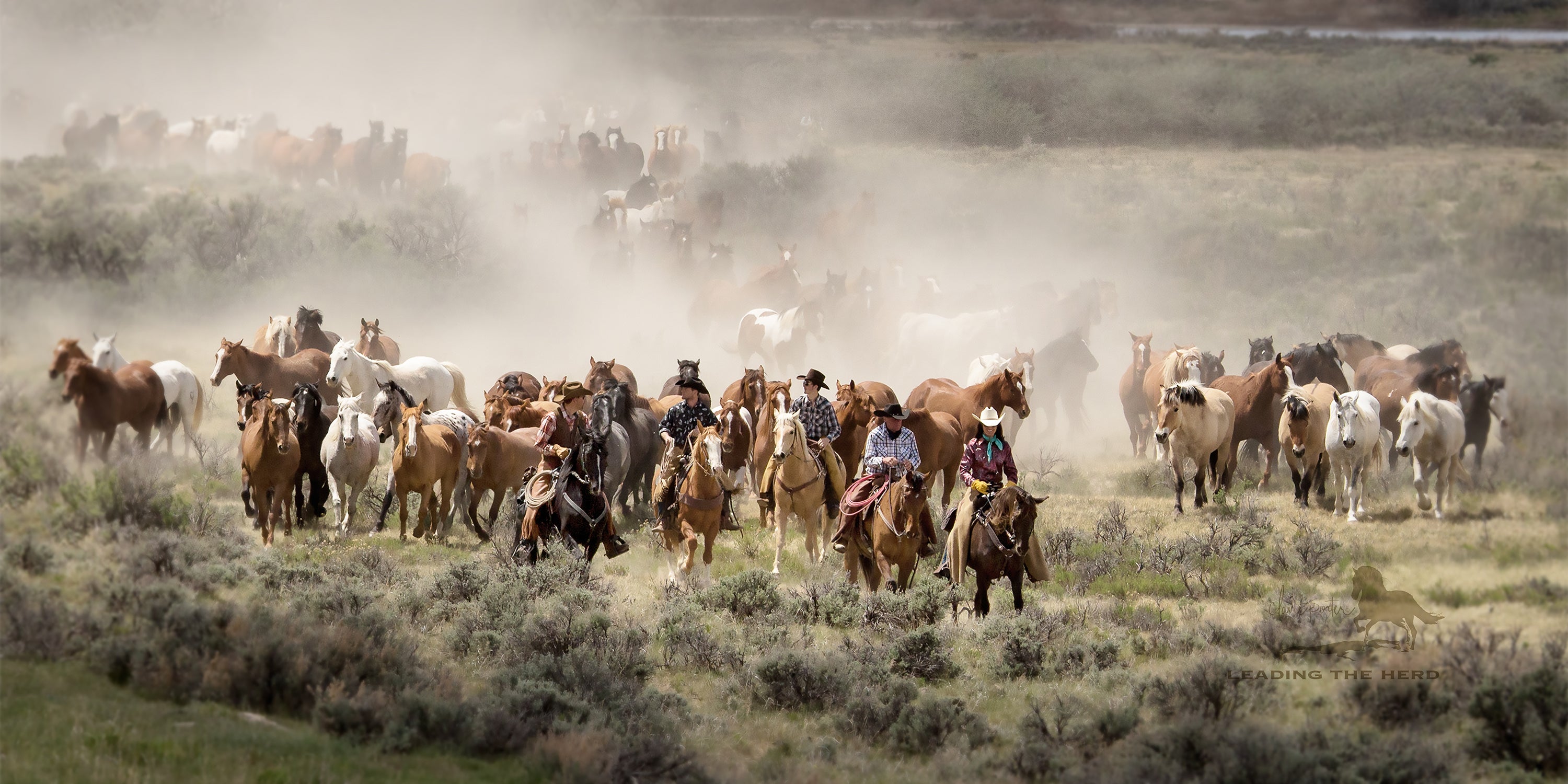 Leading the Herd