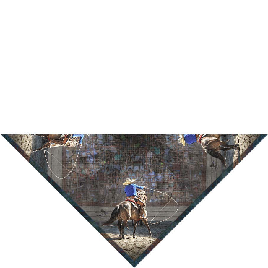Charreada Roper