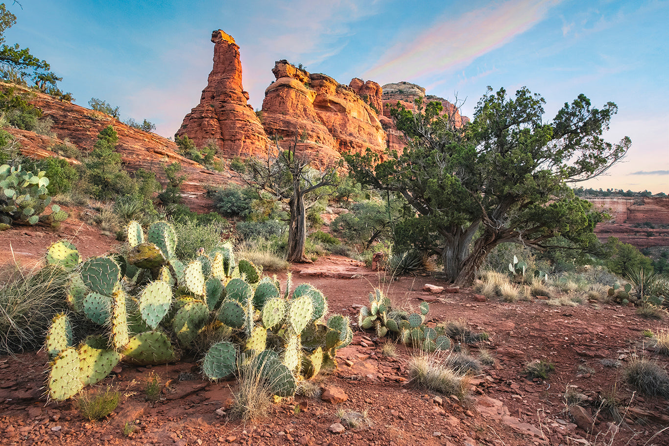 Sedona Landscape
