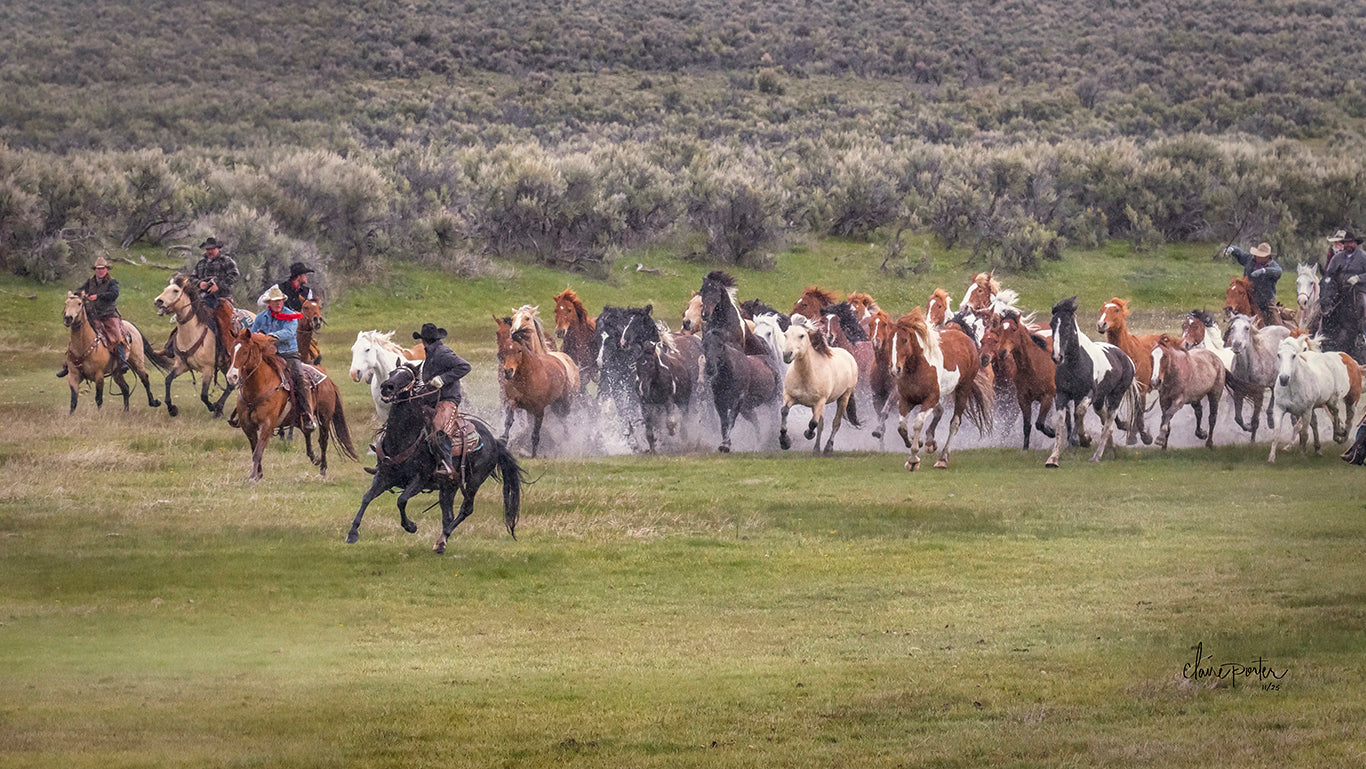 Prairie Run