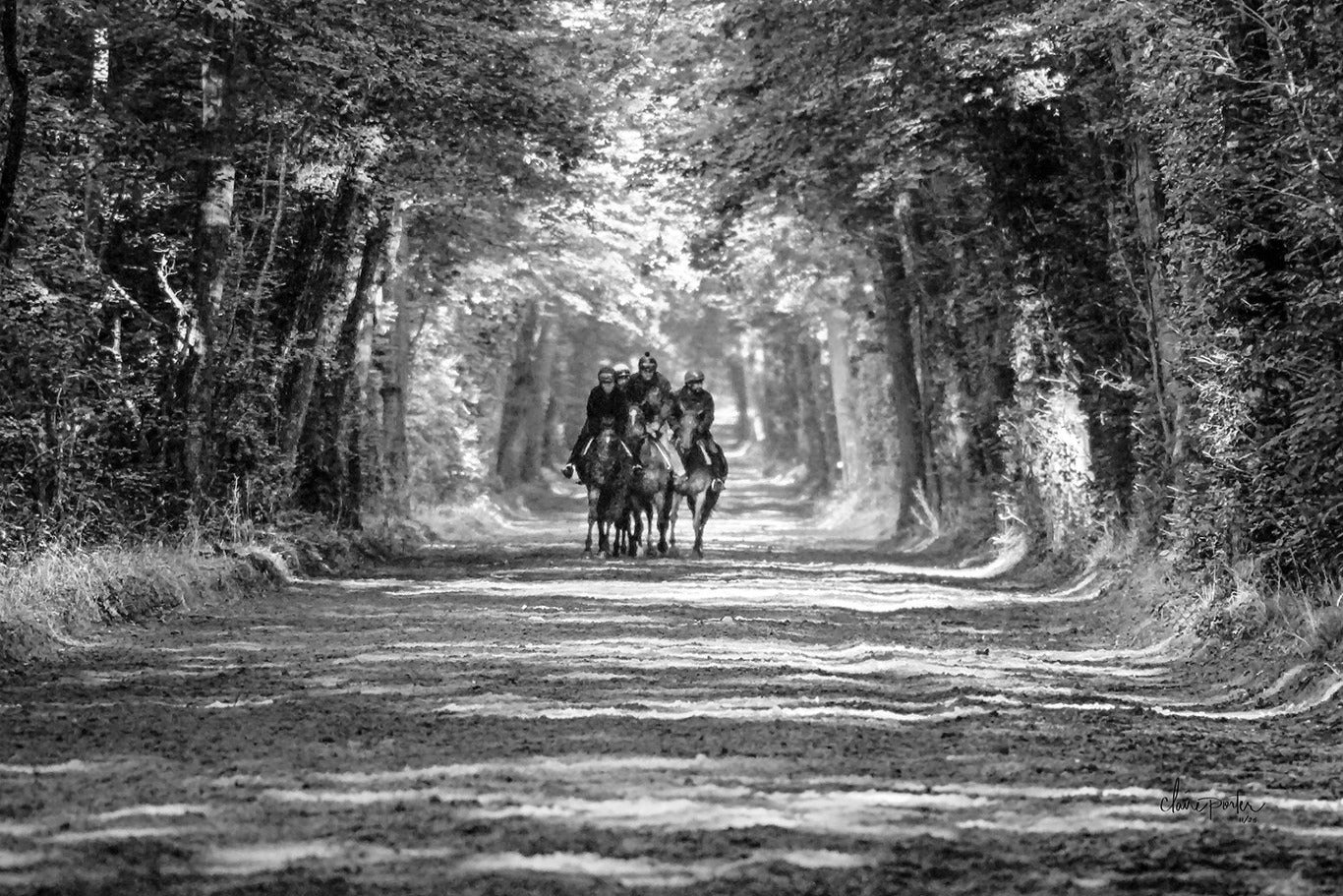 Ten Mile Training Track