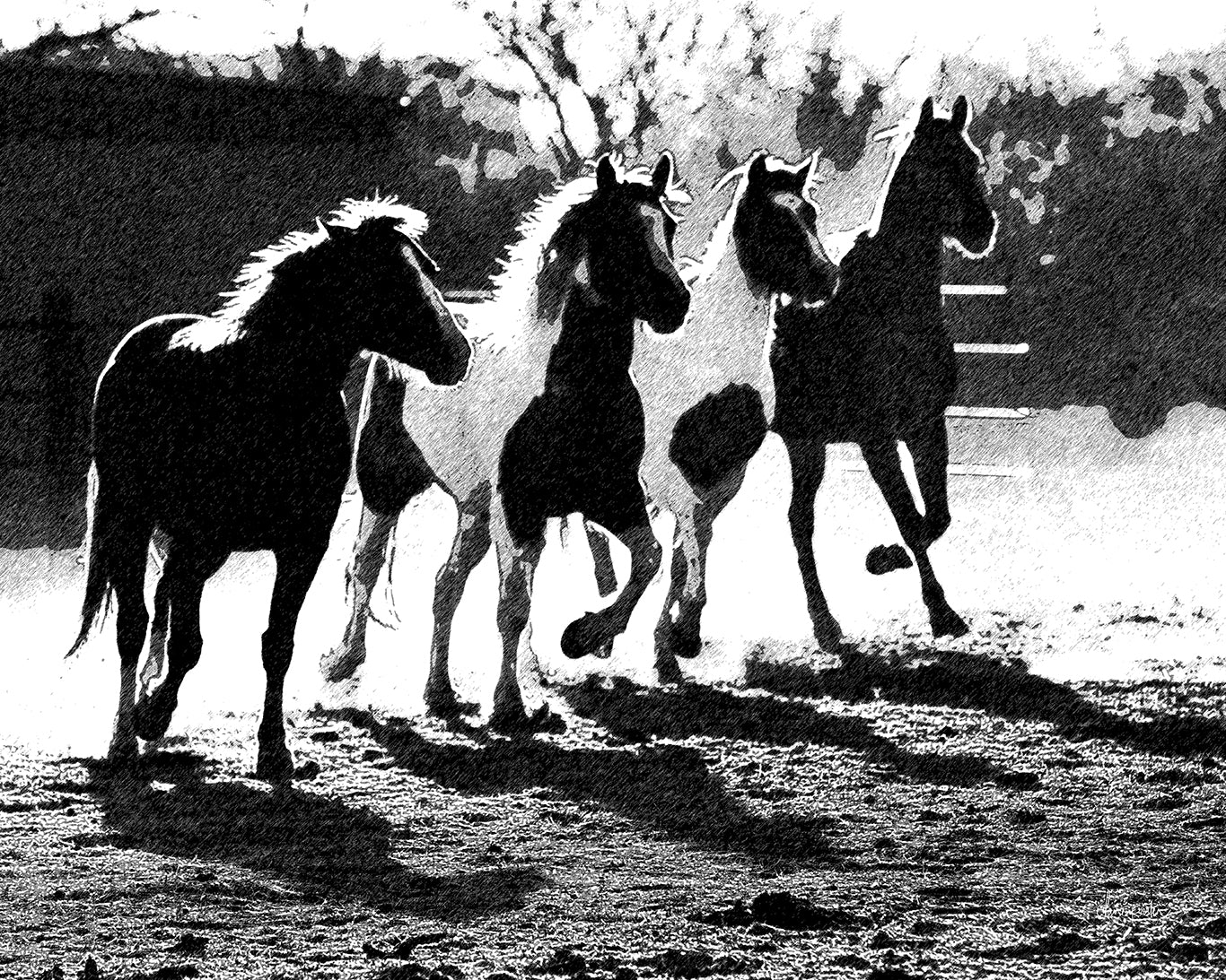 Four in a Row Graphic