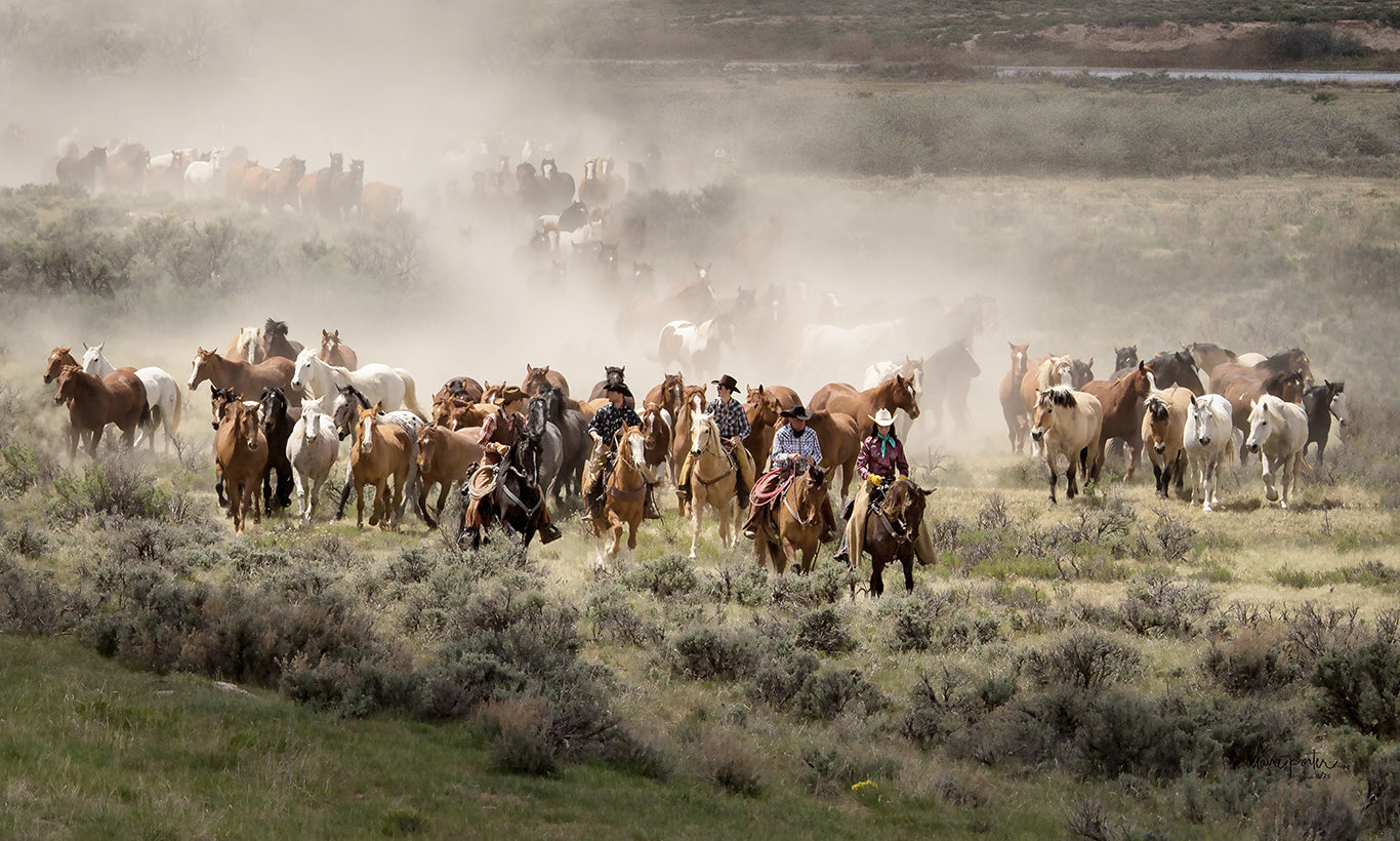 Leading the Herd