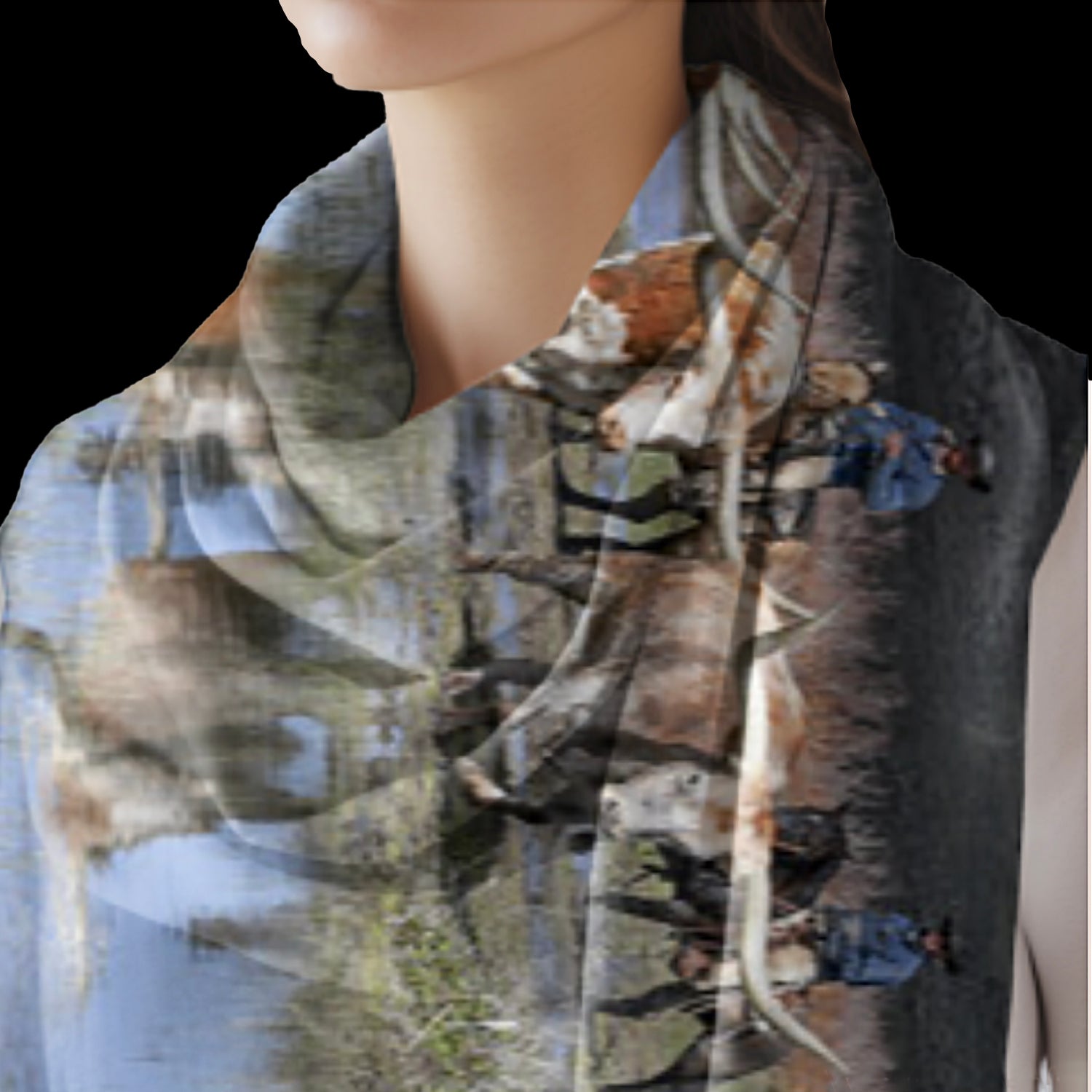 Longhorn Reflections