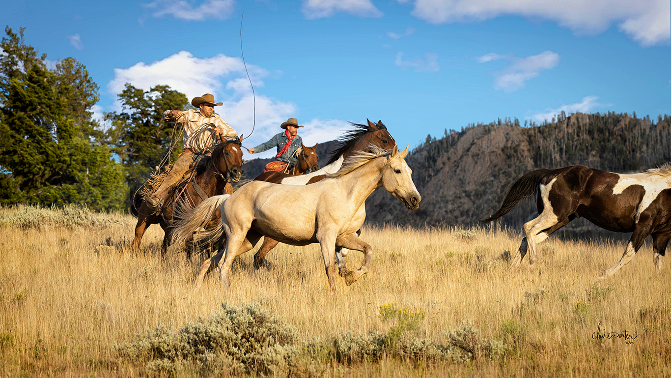Let's Get Crackin' WY