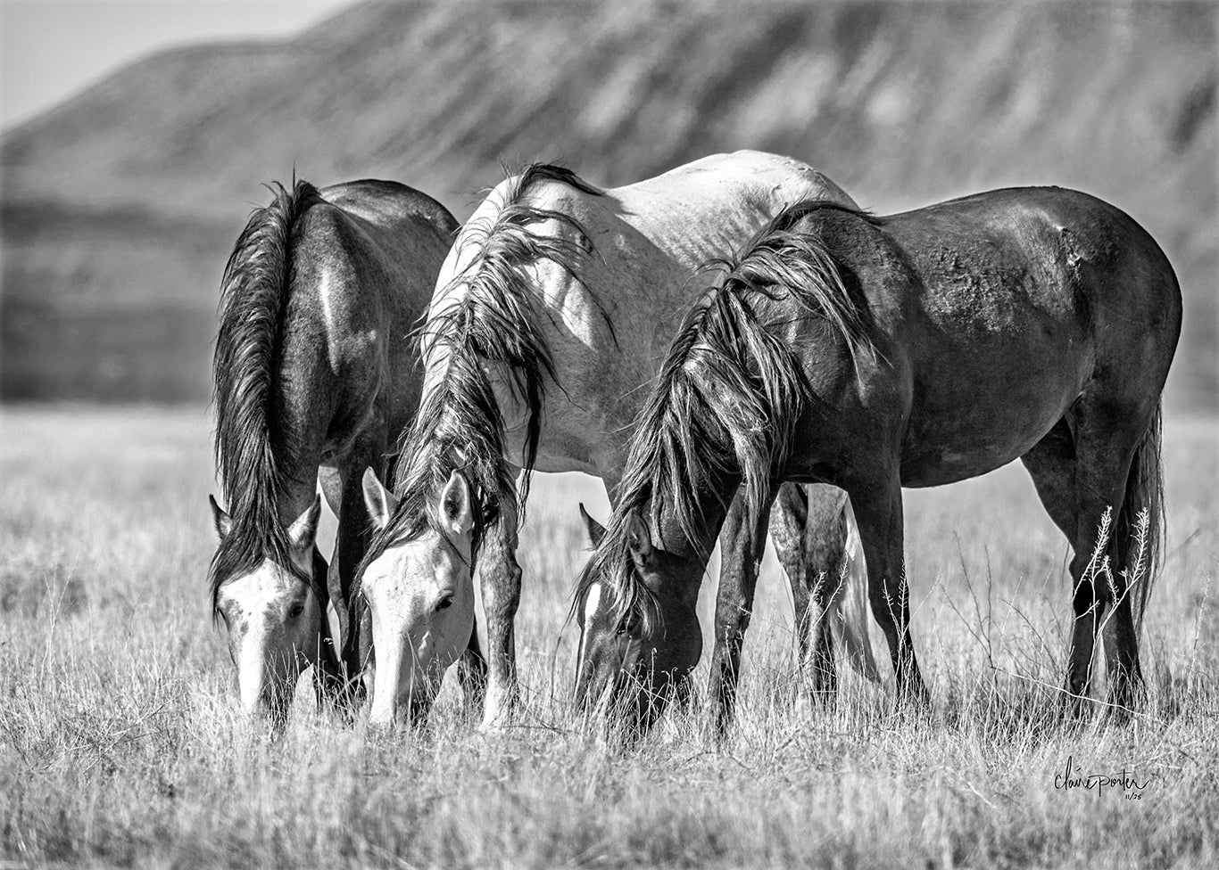 Three Shades BW