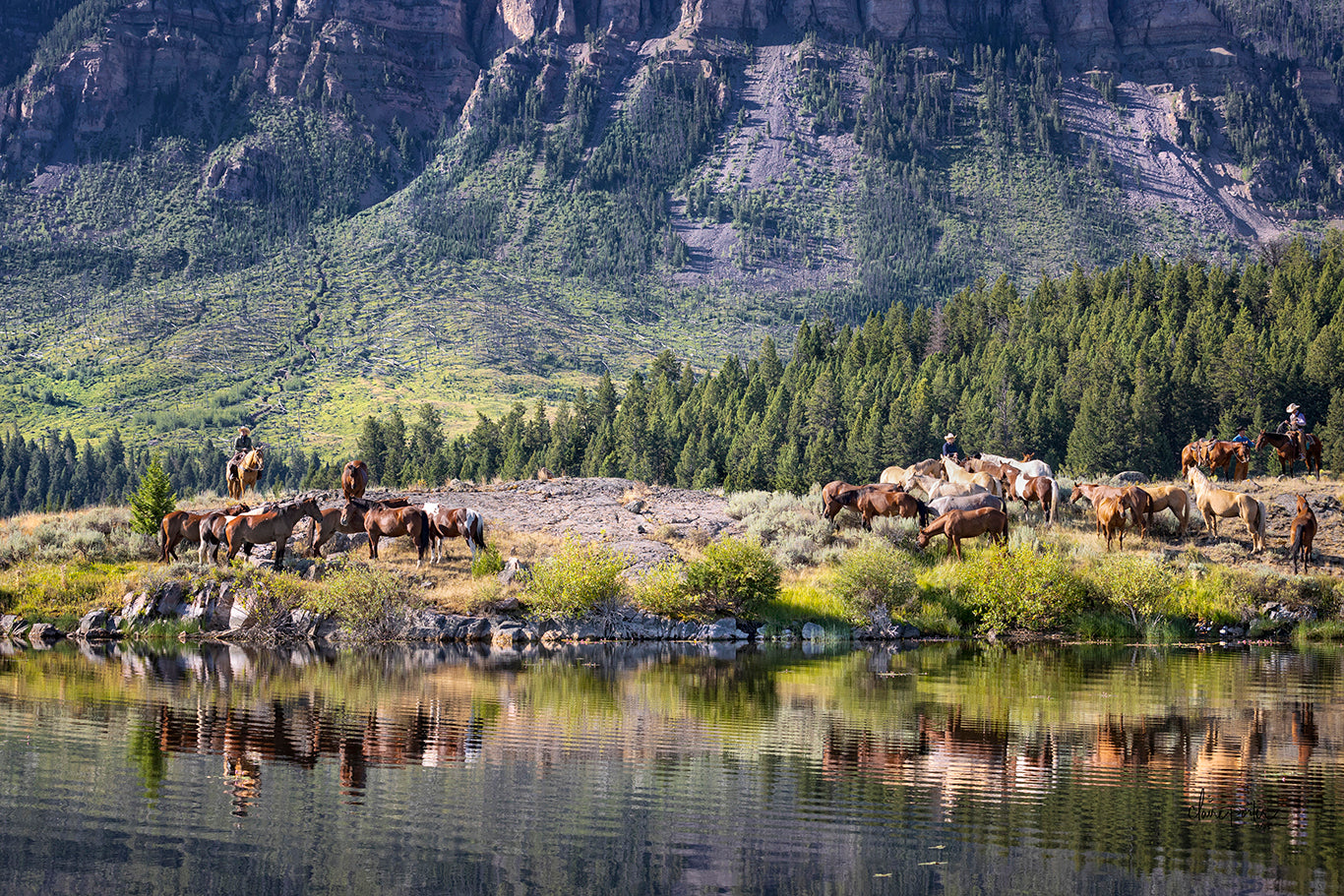 Reflections of the Cowboys WY