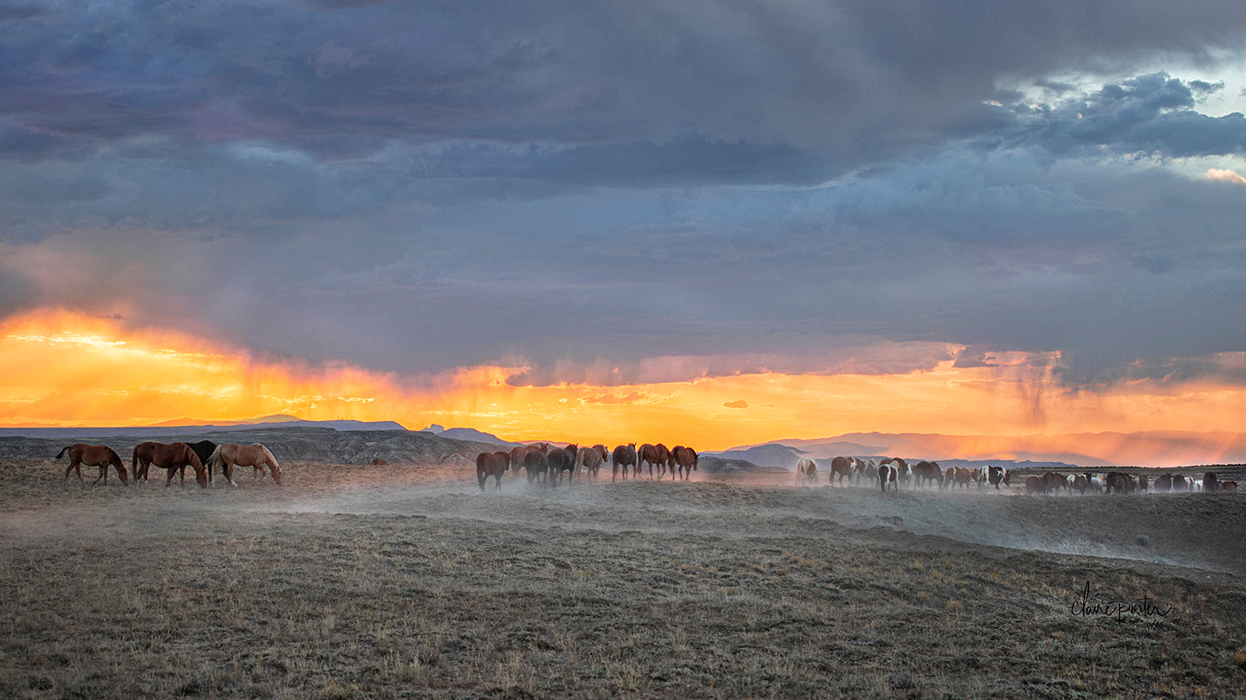 God's Country WY