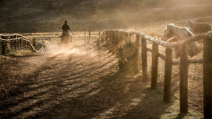 Golden Dusty Light