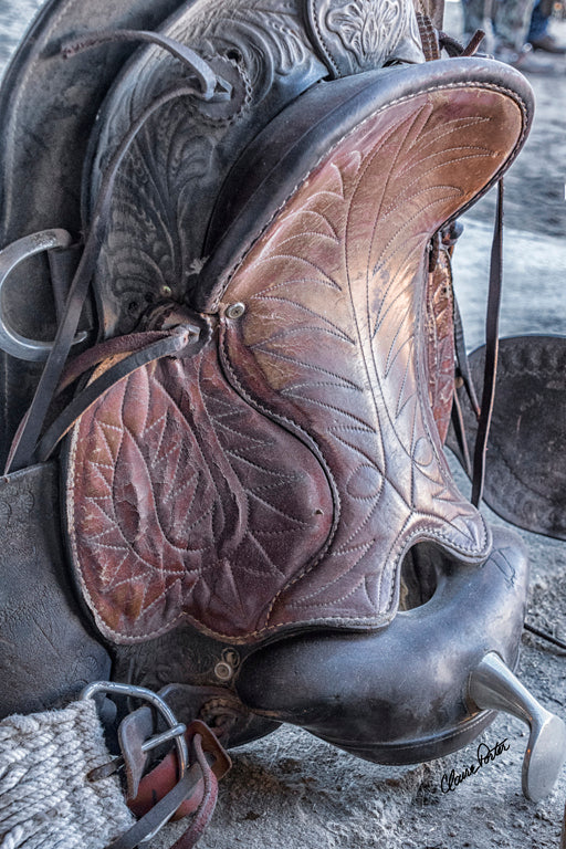 Saddle Standing